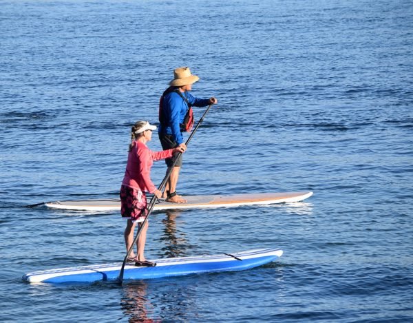 Active seniors on paddle boards